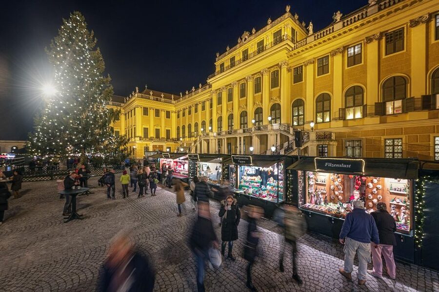 Vienna: Schönbrunn Palace & Christmas Market Walking Tour - Inside Schönbrunn Palace with the Habsburgs