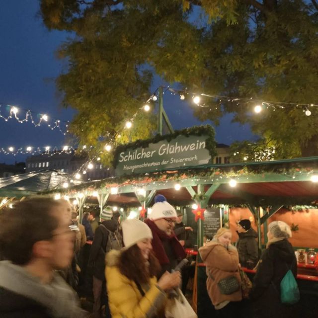 Vienna: Schönbrunn Palace & Christmas Market Walking Tour - Christmas lights, punch, and 80 wooden stalls