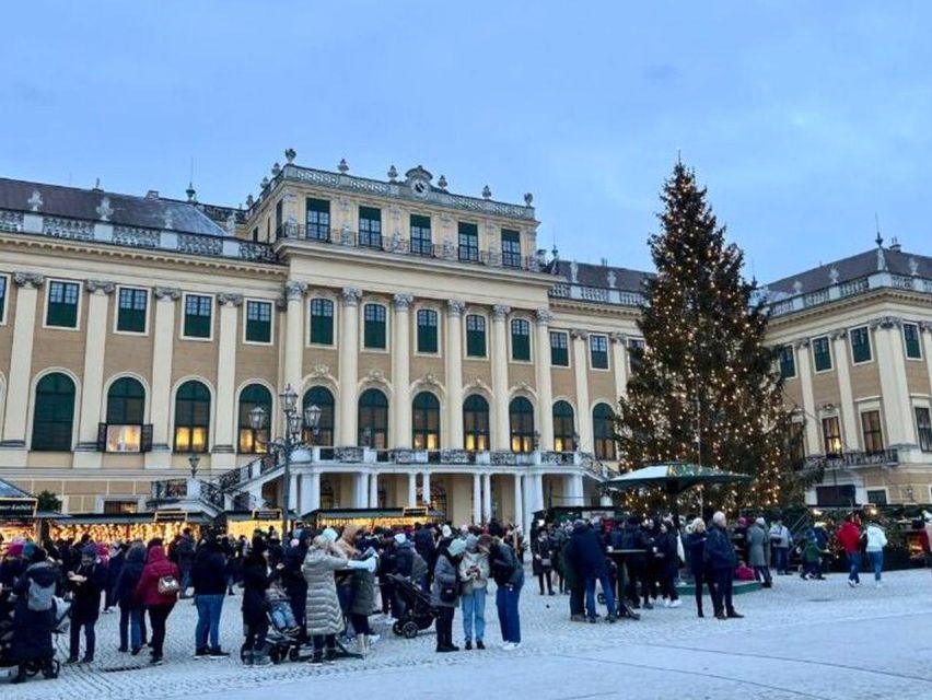 Vienna: Schönbrunn Palace & Christmas Market Walking Tour - Should you book the Schönbrunn Christmas Market tour?