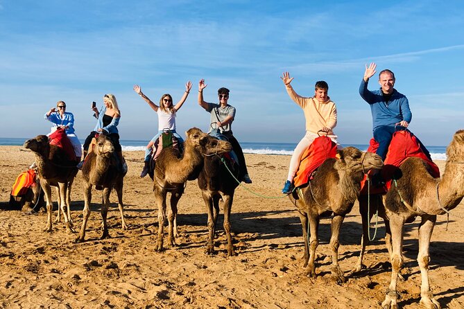 Walking Tangier Tour from ancient Kasba to Bustling Souks - Reading Tangier through the old medina