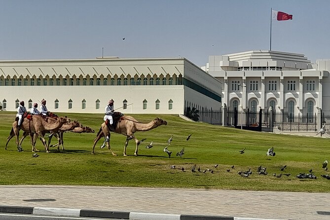 Walking Tour: Discover Souq Waqif, An Almost Free Walking Tour - Why Souq Waqif works so well as a first Doha walk