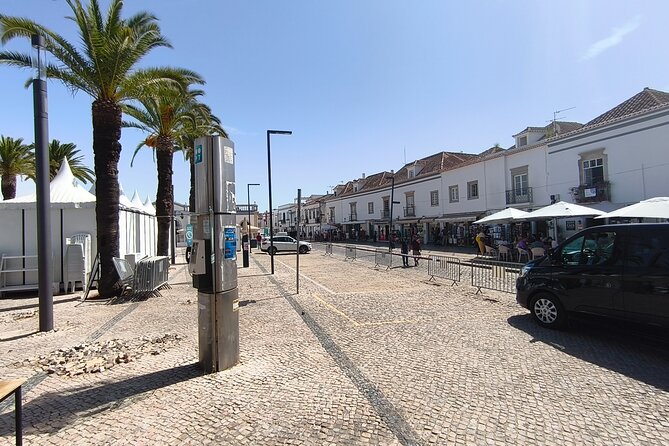 West Algarve Tour Visit Tavira Olhão Market and Ayamonte in Spain - The private vehicle and driver make the difference