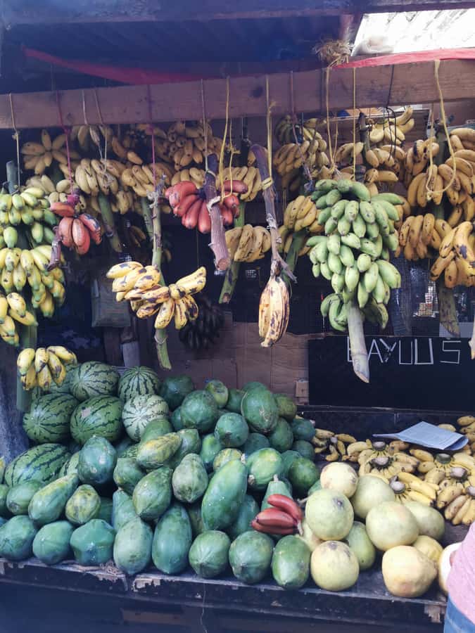 Zanzibar: 3 Hours Private Stone Town walking Tour with Guide - Five things to know before you book